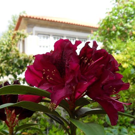 Quinta Do Bento Novo - Casa De Campo - Turismo Rural فيانا دو كاستيلو المظهر الخارجي الصورة