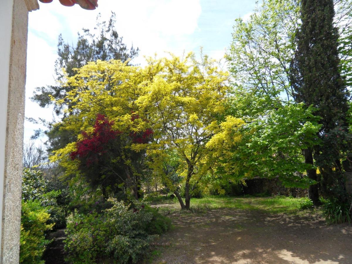Quinta Do Bento Novo - Casa De Campo - Turismo Rural فيانا دو كاستيلو المظهر الخارجي الصورة