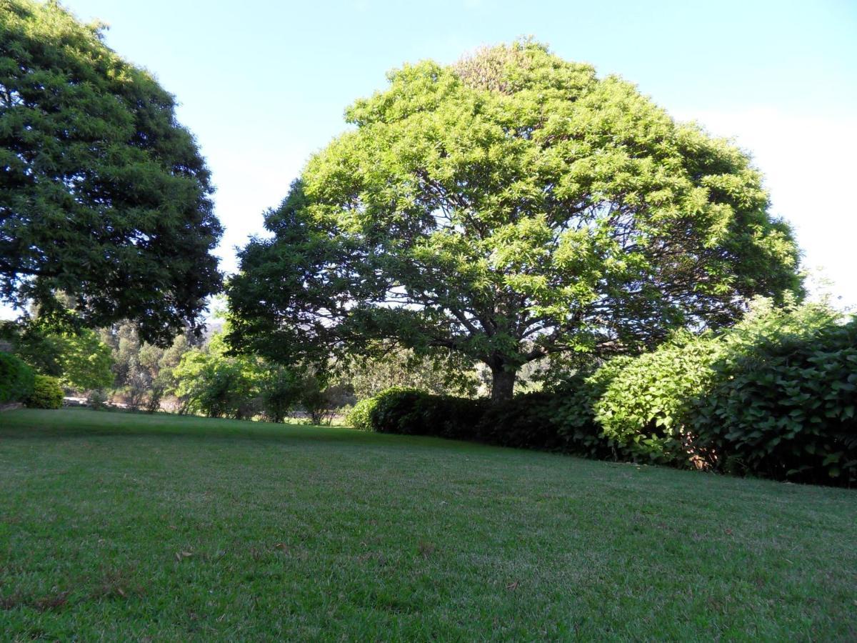 Quinta Do Bento Novo - Casa De Campo - Turismo Rural فيانا دو كاستيلو المظهر الخارجي الصورة
