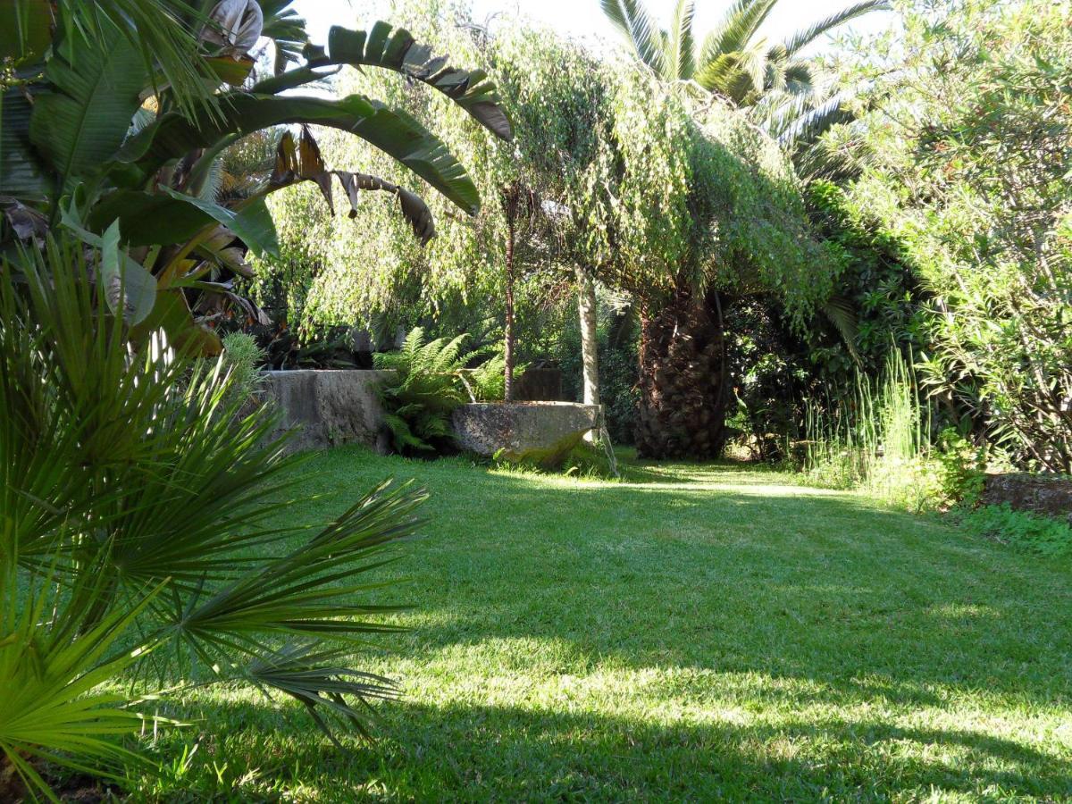 Quinta Do Bento Novo - Casa De Campo - Turismo Rural فيانا دو كاستيلو المظهر الخارجي الصورة