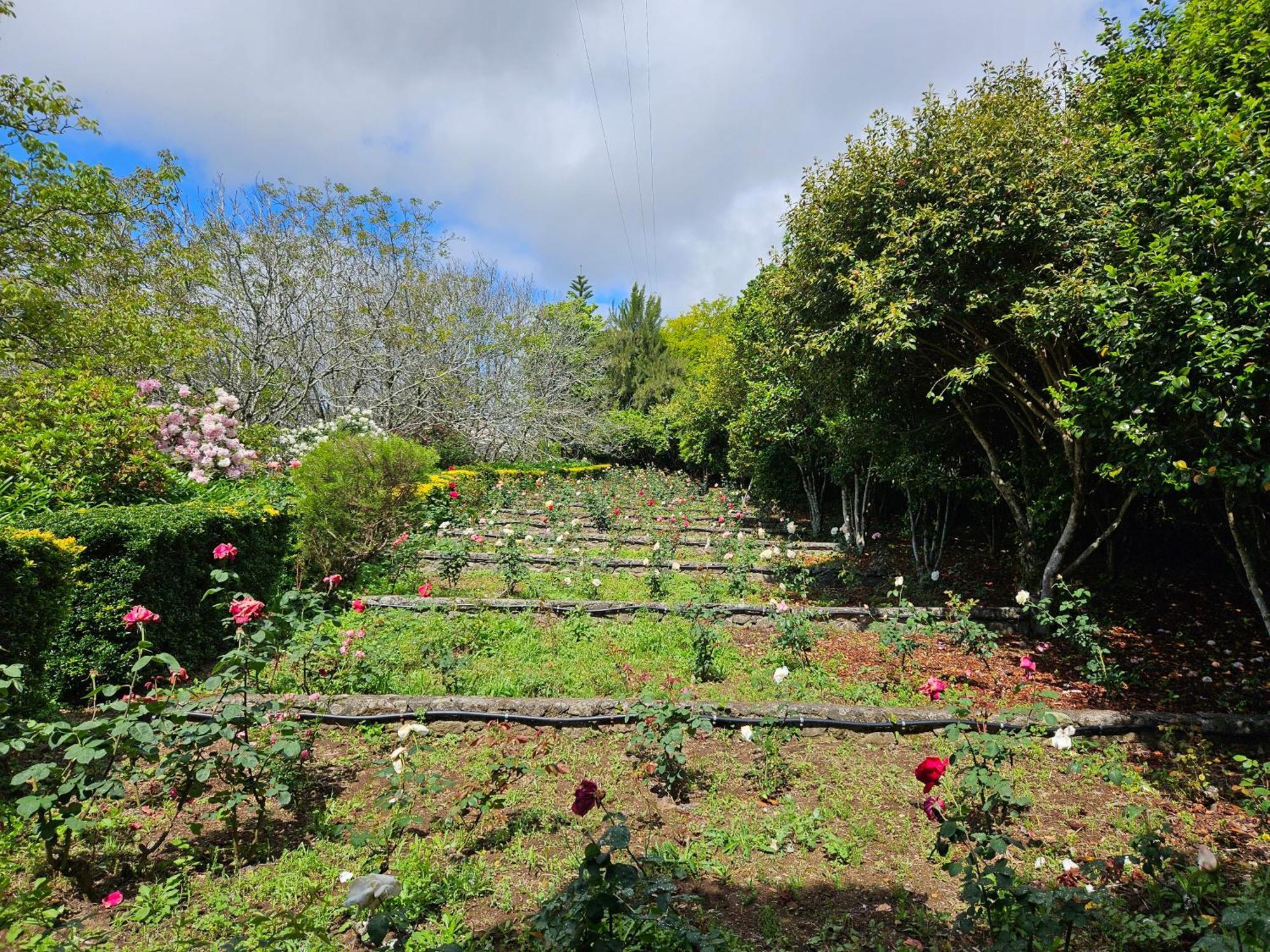 Quinta Do Bento Novo - Casa De Campo - Turismo Rural فيانا دو كاستيلو المظهر الخارجي الصورة
