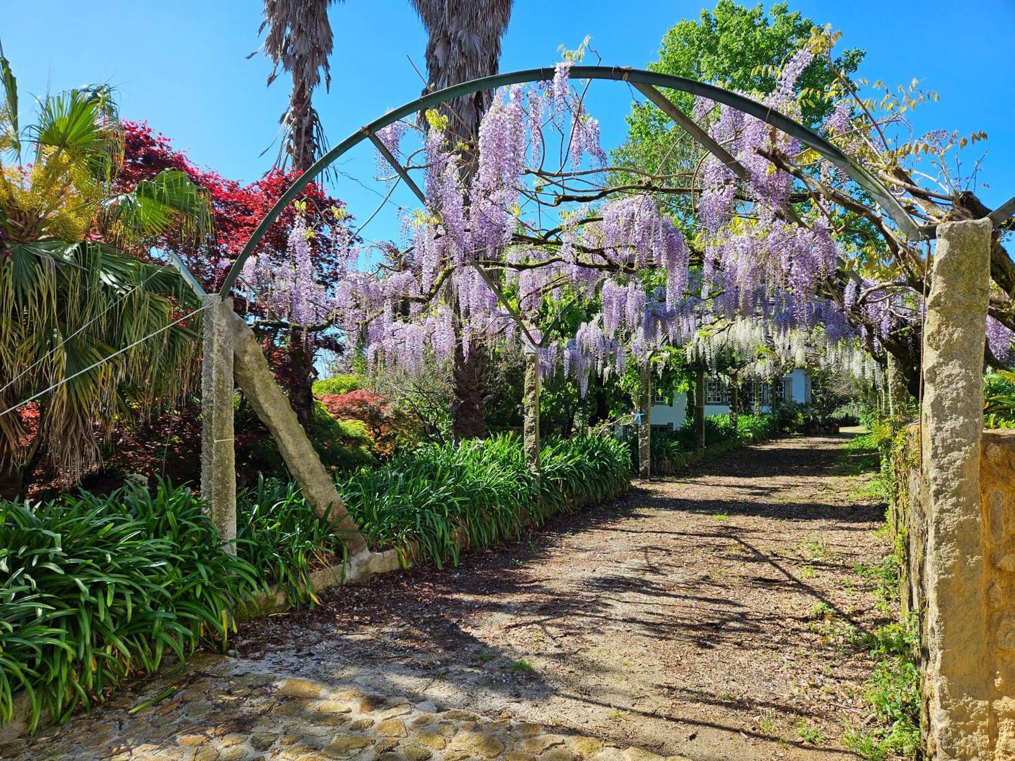 Quinta Do Bento Novo - Casa De Campo - Turismo Rural فيانا دو كاستيلو المظهر الخارجي الصورة